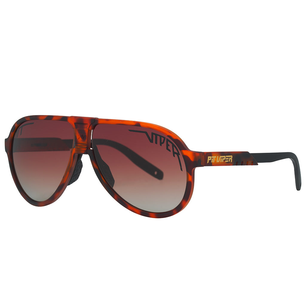 The Landlocked Jethawk - 图片 2